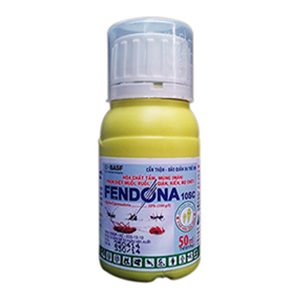 fendora