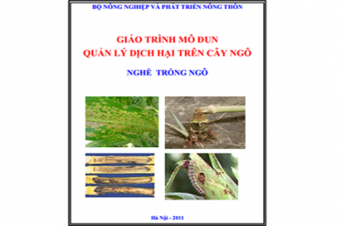 SÁCH HAY TẶNG BẠN – GIÁO TRÌNH QUẢN LÝ DỊCH HẠI TRÊN CÂY NGÔ (CÂY BẮP)