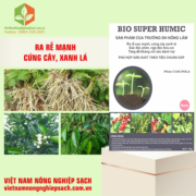 BIO SUPER HUMIC (2)