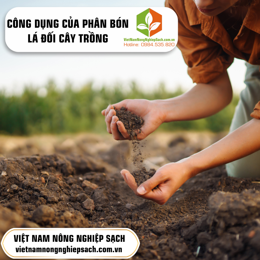 CÔNG DỤNG CỦA PHÂN BÓN LÁ ĐỐI CÂY TRỒNG ?