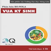 NHAN VU KY SINH 1LIT