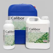 calibor