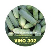 vn302