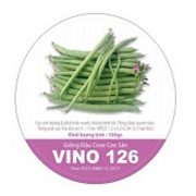 ĐẬU COVE CAO SẢN VINO 126
