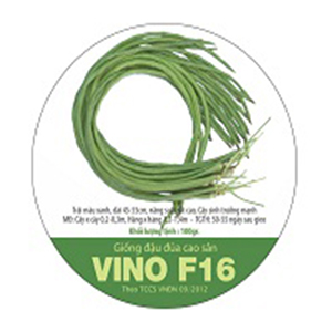 Đậu Đũa Cao Sản - VINO F16