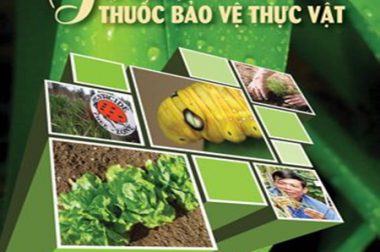 KIẾN THỨC CĂN BẢN NGÀNH BẢO VỆ THỰC VẬT