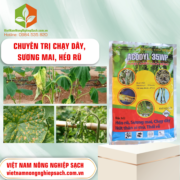 ACODYL 35WP - vietnamnongnghiepsach.com.vn 1