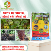 ACODYL 35WP - vietnamnongnghiepsach.com.vn 2