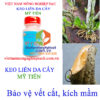 KEO MỸ TIẾN