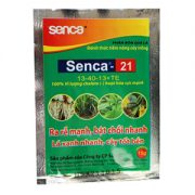 Senca 21 15g (13-40-13TE)