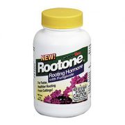 rootone1
