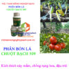 CHUỘT-BẠCH-509 -đậu-trái