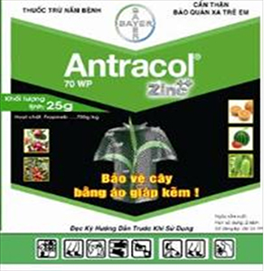 antraco 25