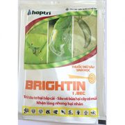 brightin1