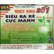 root king