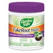 take root