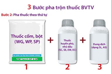 CÁCH PHỐI TRỘN THUỐC BẢO VỆ THỰC VẬT ĐÚNG CÁCH