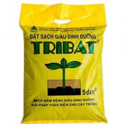tribat