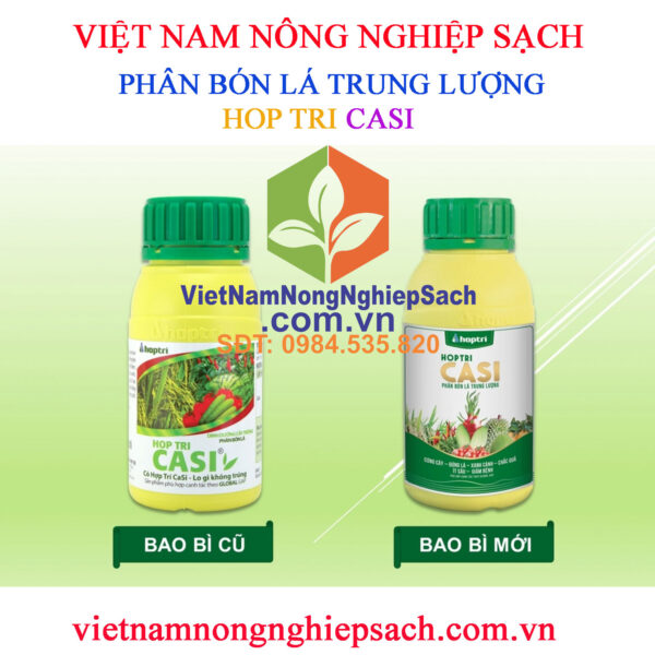 HỢP-TRÍ-CASI