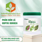 HOPTRI BOROCA - vietnamnongnghiepsach.com.vn 3