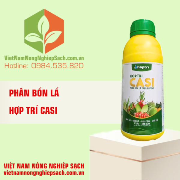 HỢP TRÍ CASI