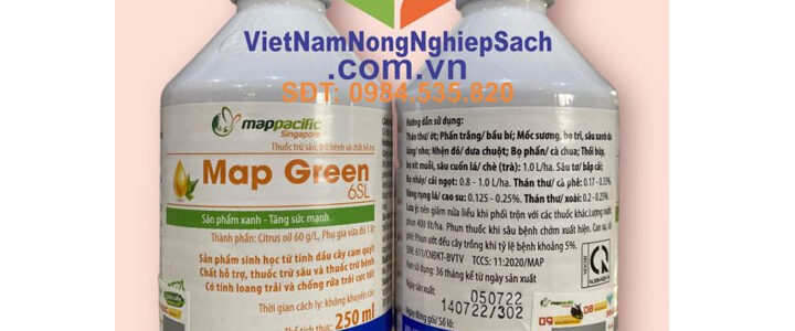 MAP-GREEN-6SL-CHAI-250ML