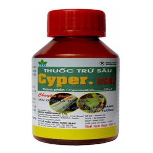 cyper 4