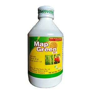 map green