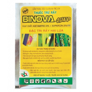 Binova