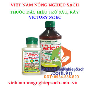 VICTORY-585EC