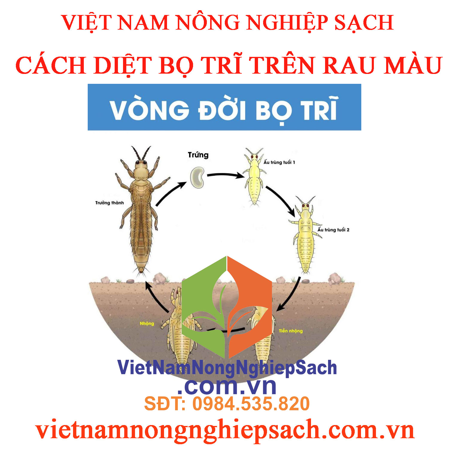 VÒNG-ĐỜI-BỌ-TRĨ