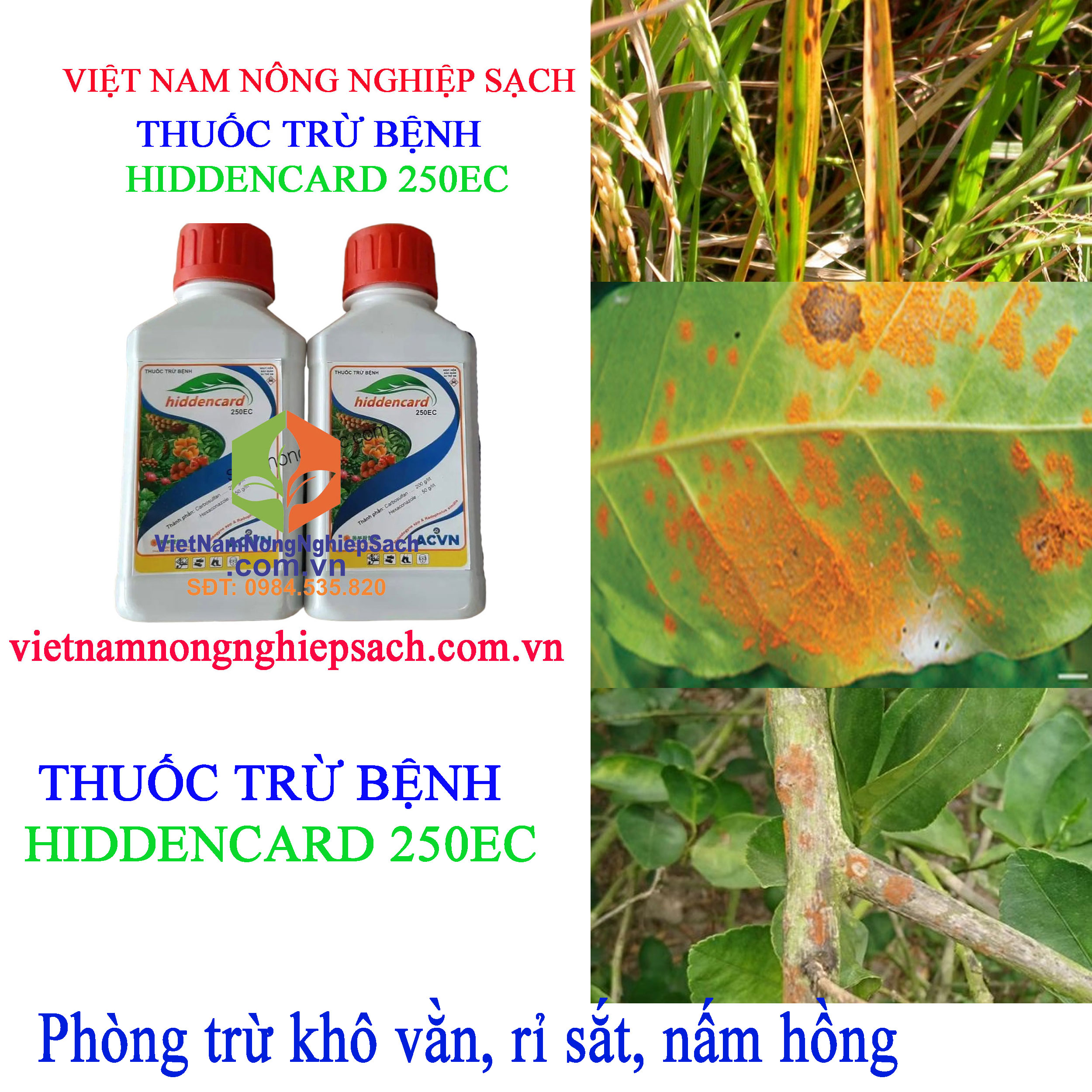 HIDDENCARD-250EC-khô-vằn