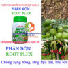 ROOT-PLEX-CHAI-100ML-TRÁI-LỚN