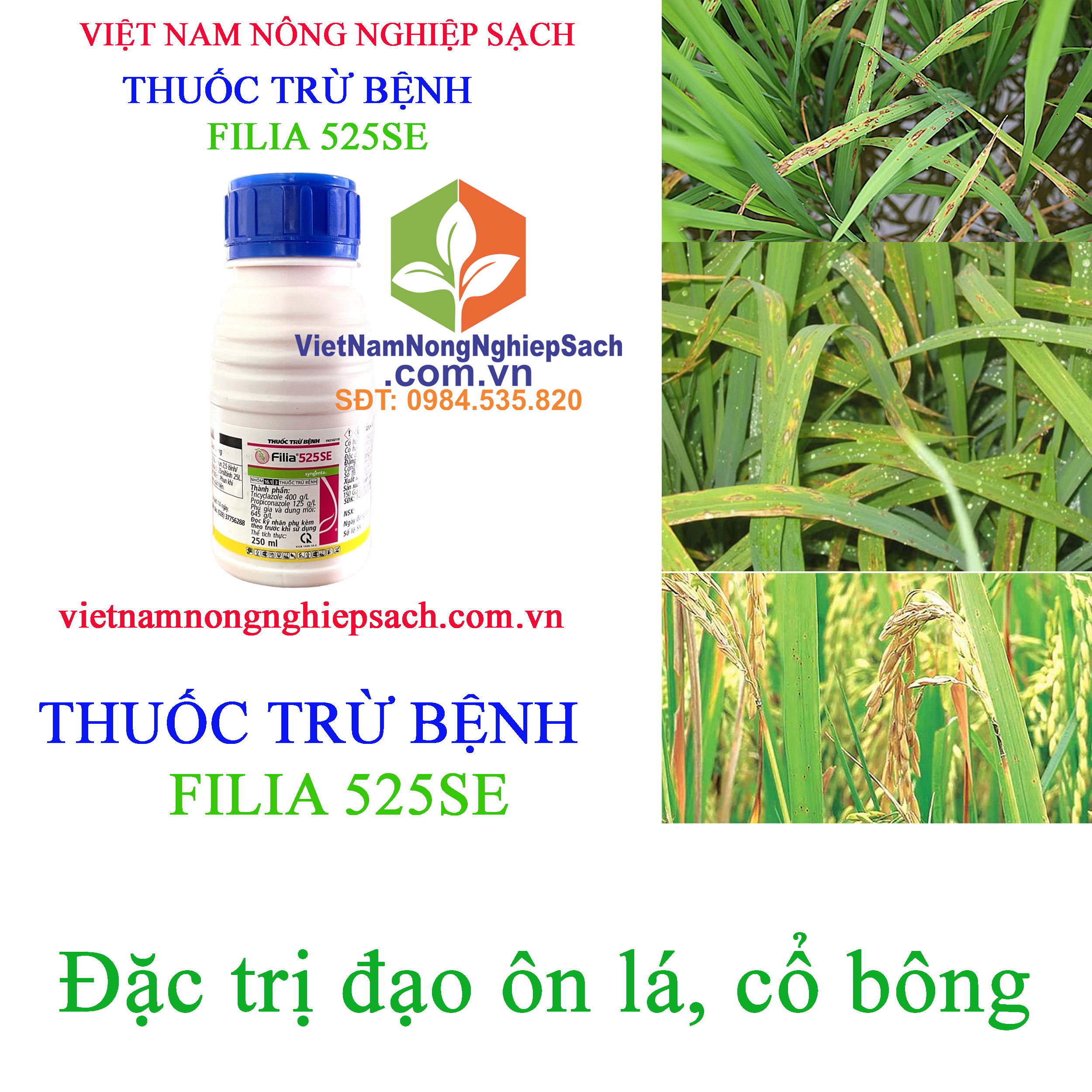 FILIA-525SE-ĐẠO-ÔN