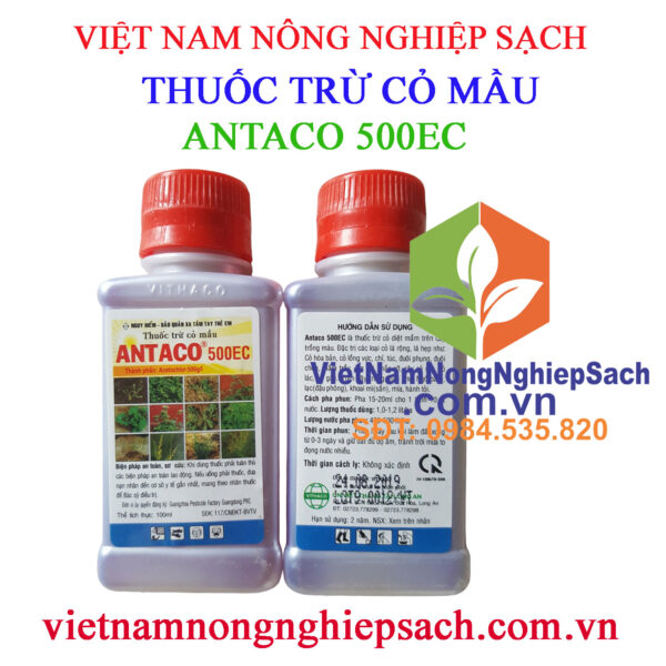 ANTACO-500EC-CHAI-100ML