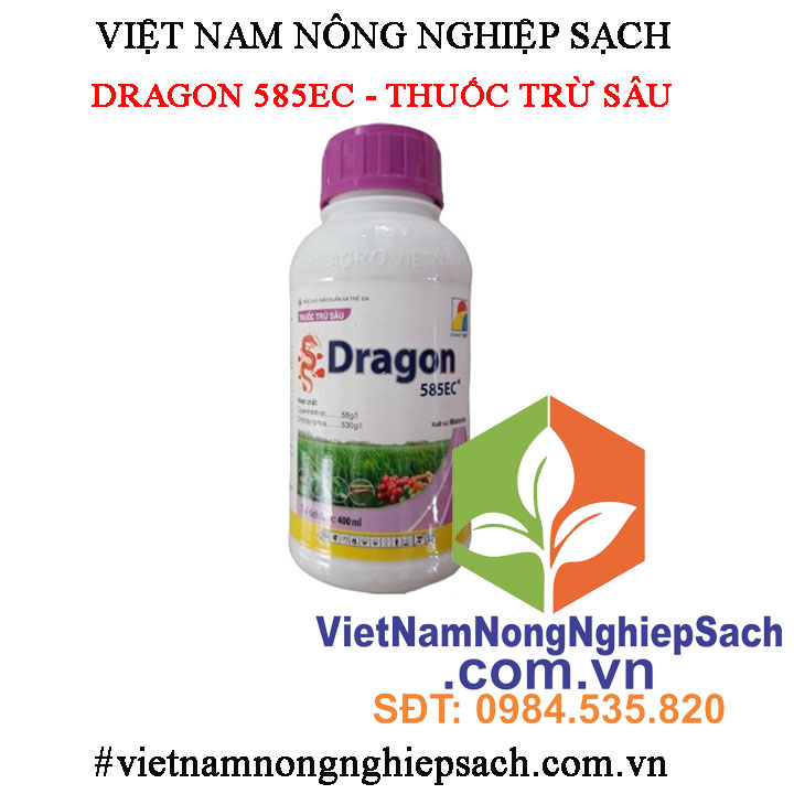 DRAGON-585EC