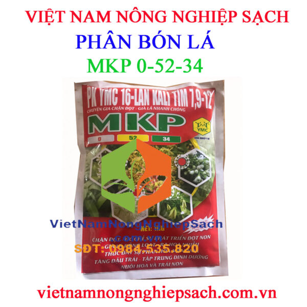 MKP-0-52-34-Ý-MỸ