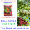 MKP-(0-52-34)-Ý-MỸ--đậu-trái