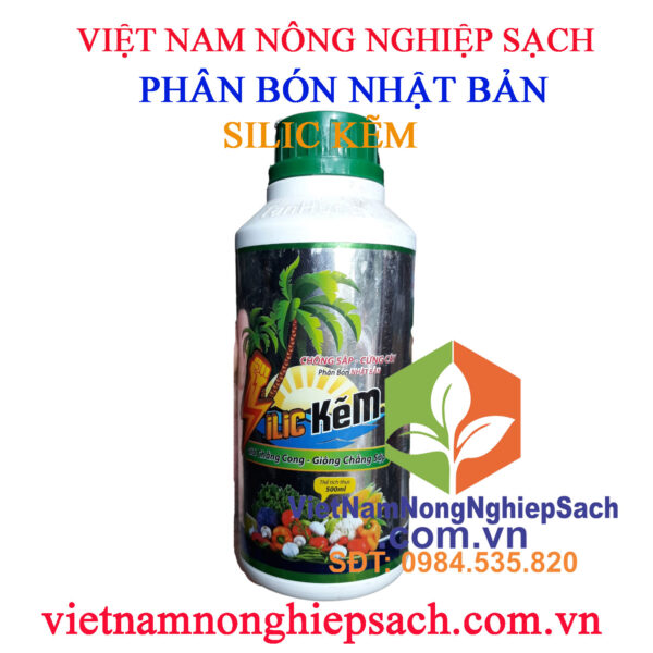 SILIC-KẼM-TÂN-HƯNG