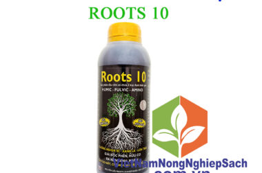 ROOTS 10 – THUỐC KÍCH THÍCH RA RỄ MẠNH NHẤT ĐƯỢC SỬ DỤNG NHIỀU NHẤT HIỆN NAY