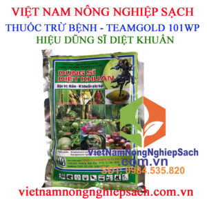 DŨNG SĨ DIỆT KHUẨN