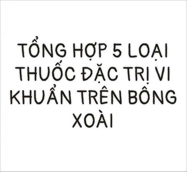 5 THUỐC TRỊ VI KHUẨN