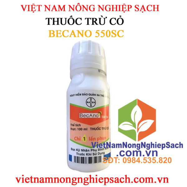 BECANO-550SC