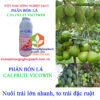 CALFRUIT-VICOWIN-lớn-trái