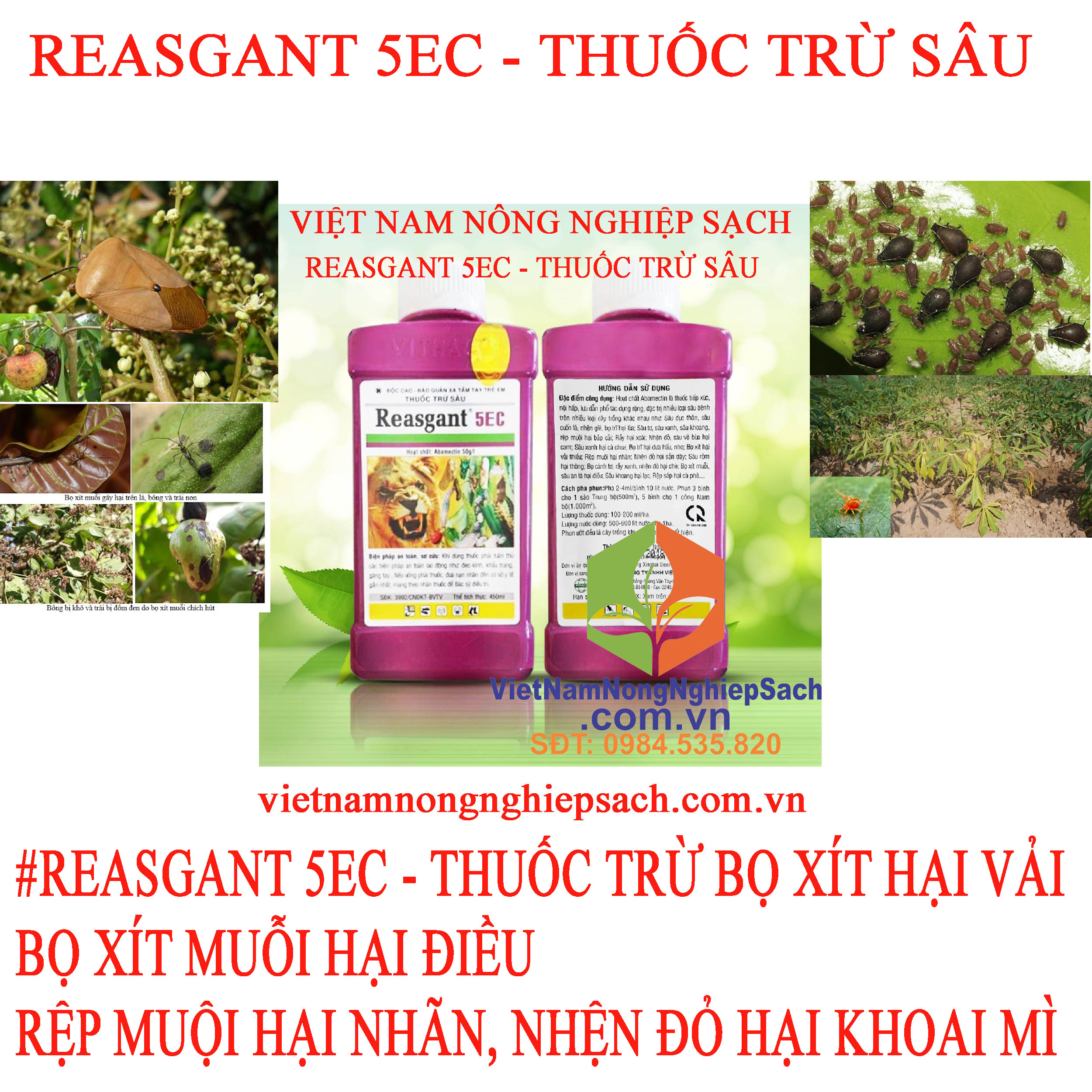 REASGANT-5EC--BỌ-XÍT-MUỖI