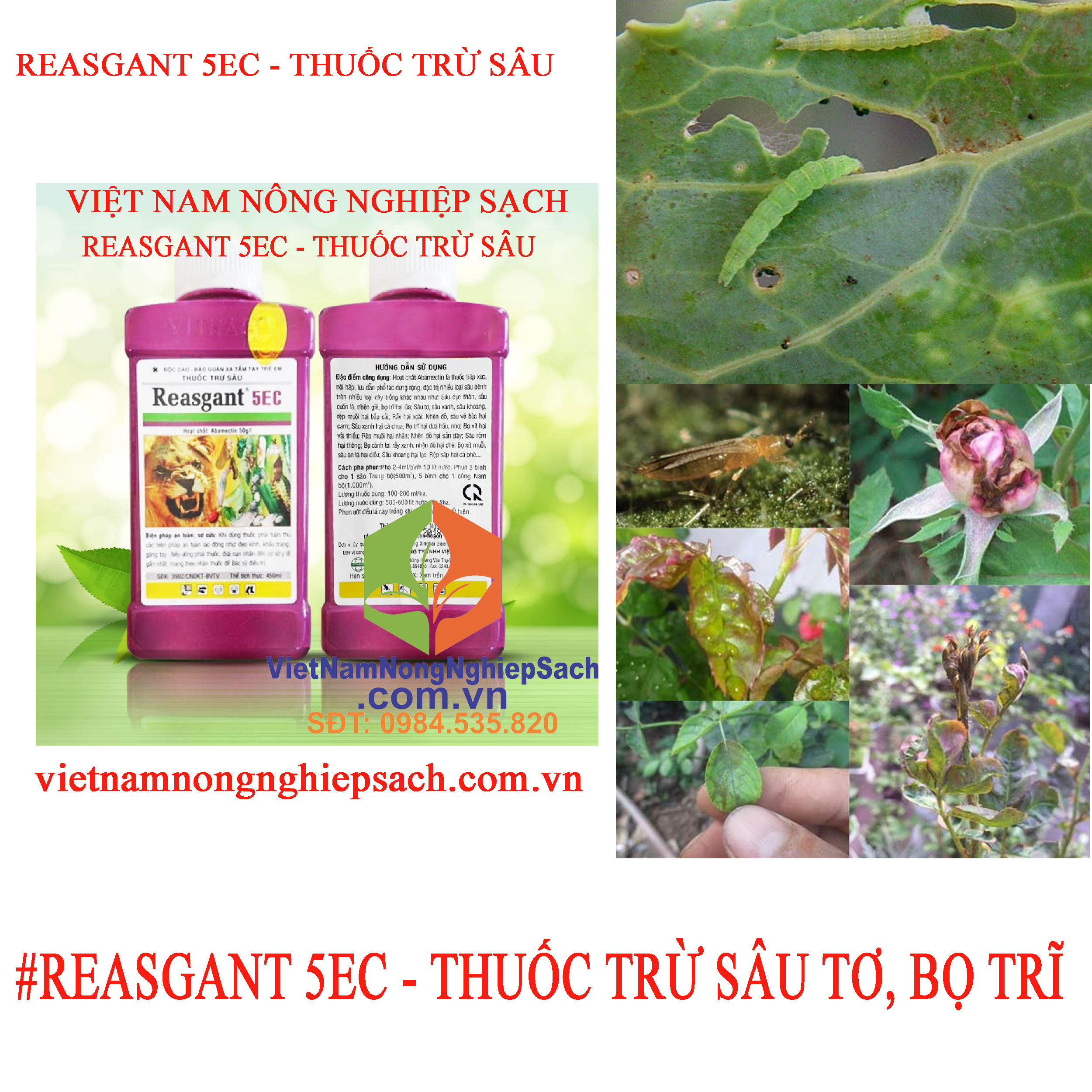 REASGANT-5EC--SÂU-TƠ