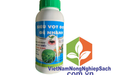 SIÊU KÉO ĐỌT – PHÂN BÓN KÍCH THÍCH KÉO ĐỌT SIÊU MẠNH CHO CÂY TRỒNG 500ML