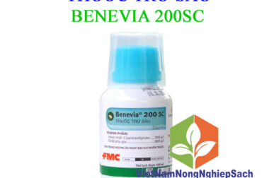 BENEVIA 200SC – ĐẶC TRỊ TẬN GỐC CÔN TRÙNG CHÍCH HÚT TRÊN CÂY TRỒNG