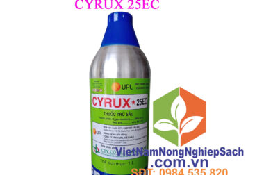 CYRUX 25EC – THUỐC ĐẶC TRỊ SÂU RẦY GÂY HẠI CHO CÂY TRỒNG 1LÍT