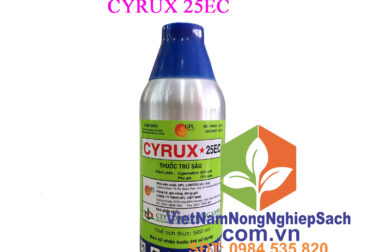 CYRUX 25EC – THUỐC ĐẶC TRỊ SÂU RẦY GÂY HẠI CHO CÂY TRỒNG CHAI 500ML